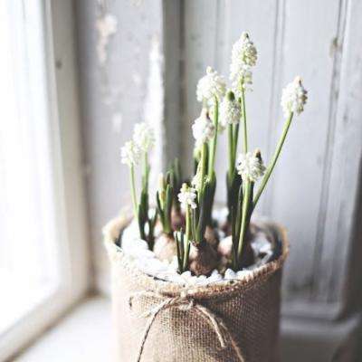 麻将胡了网站入口