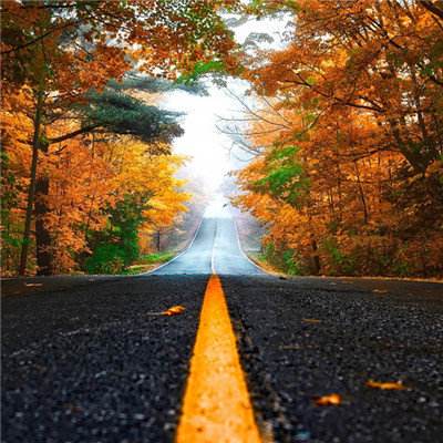 幸运彩票最新版app