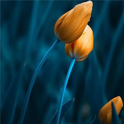 bet韦德官方网站