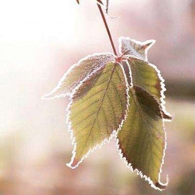 幸运彩票最新版app截图